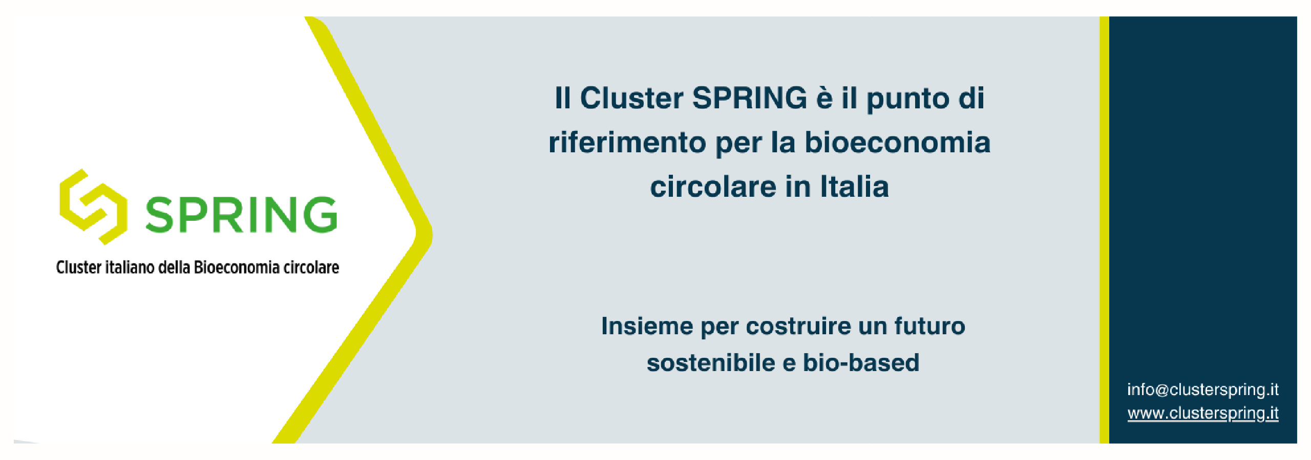 Cluster Spring